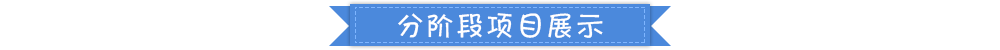 分阶段项目展示